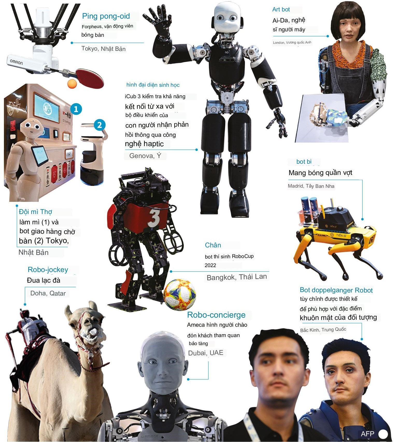 Một số loại robot phổ biến tr&ecirc;n thế giới.&nbsp;