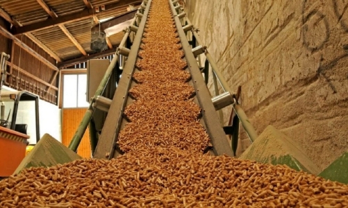 Xuất khẩu viên nén giảm mạnh, Nhật Bản và Hàn Quốc vẫn là hai thị trường chính của Việt Nam