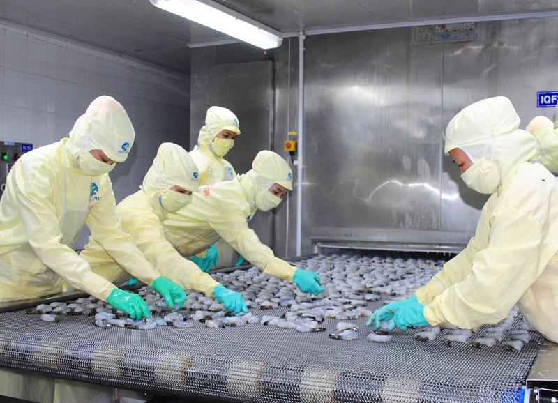 Shrimp exports recovering with higher demand from China