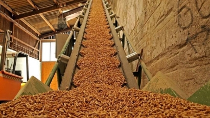 South Korea & Japan the biggest importers of Vietnamese wood pellets