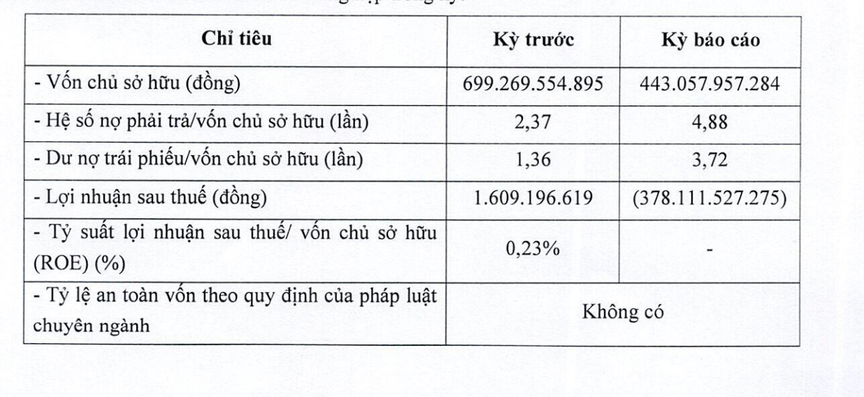 Tình hình kinh doanh của Nam Phương Energy trong năm 2023. 