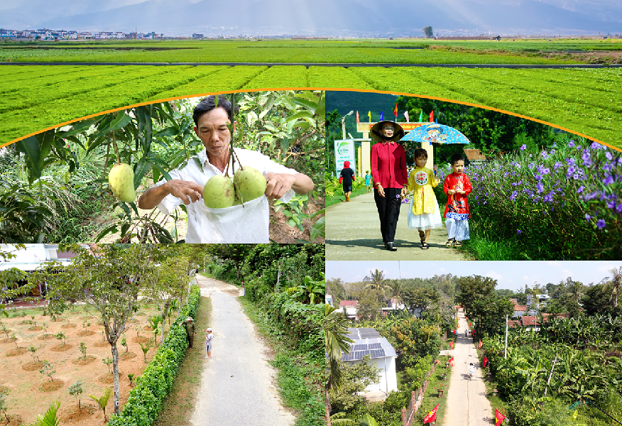 Hiện có 19 tỉnh, thành phố trực thuộc Trung ương có 100% số xã đạt chuẩn nông thôn mới.