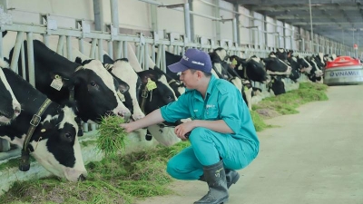 Dairy exports set to rise from Israel cutting import taxes