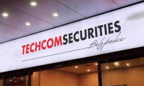 Chứng khoán TCBS báo lãi giảm mạnh sau bước nhảy vọt về thị phần môi giới quý 2