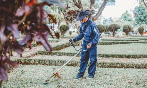 Một số thông tin mới về thị trường xuất khẩu lao động Hy Lạp 