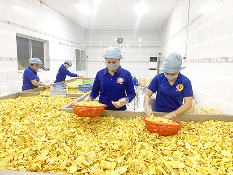 Hàng hoá Việt Nam xuất khẩu vào EU sẽ được đối xử công bằng.