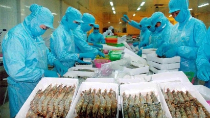 Struggling shrimp exports expected to see better 2H