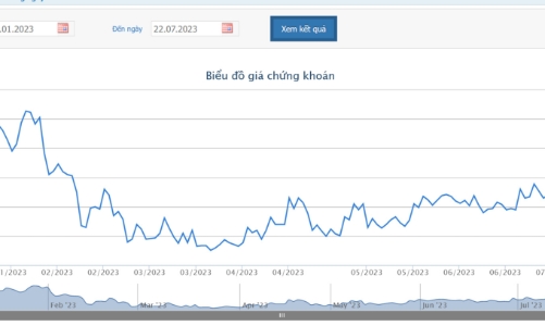 Cổ phiếu tăng 19%, Hoàng Anh Gia Lai muốn chào bán cổ phiếu riêng lẻ