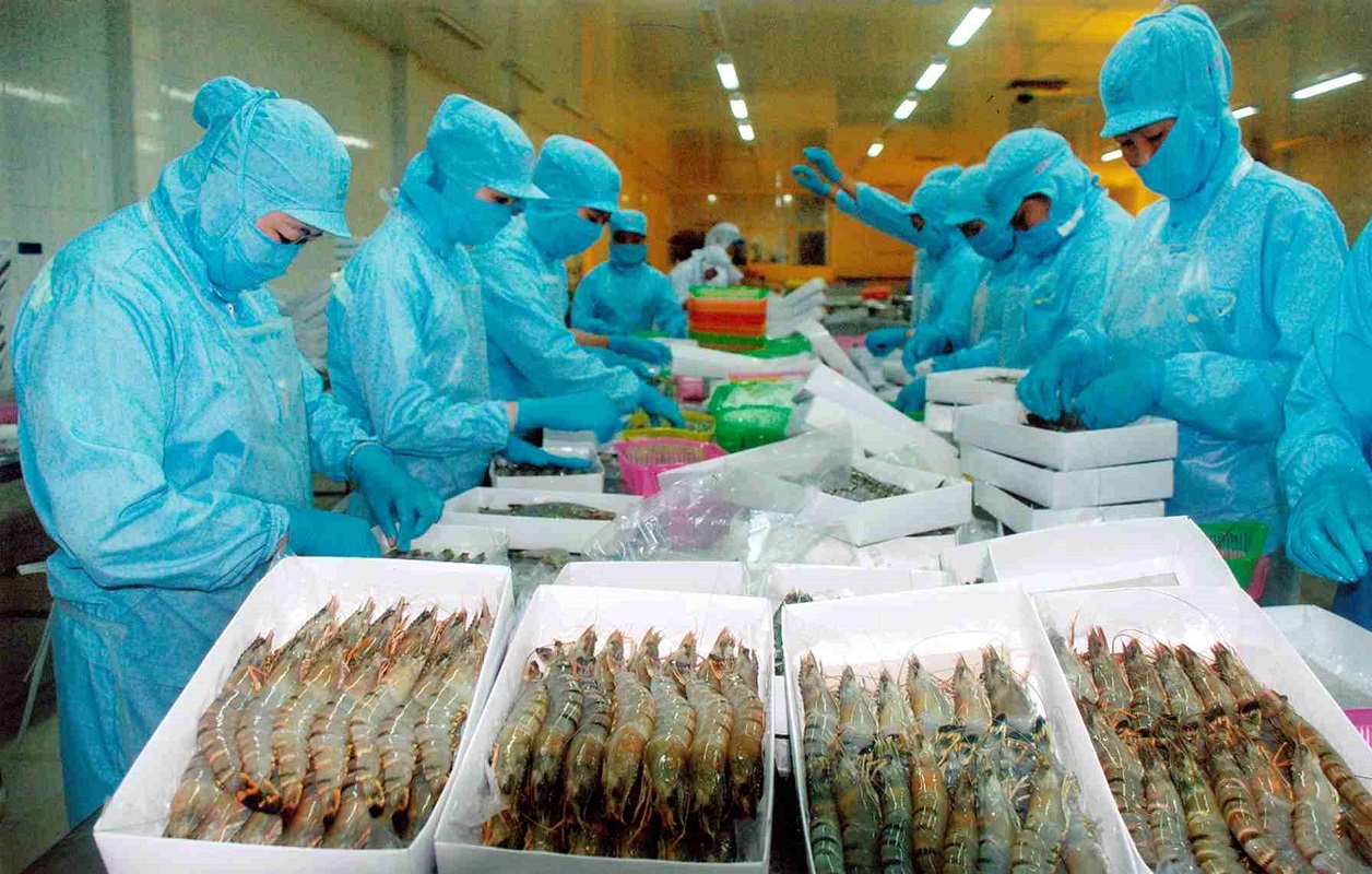 Việt Nam là nước xuất khẩu tôm lớn thứ hai thế giới.