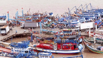Clarification of investment in Tran De Seaport needed
