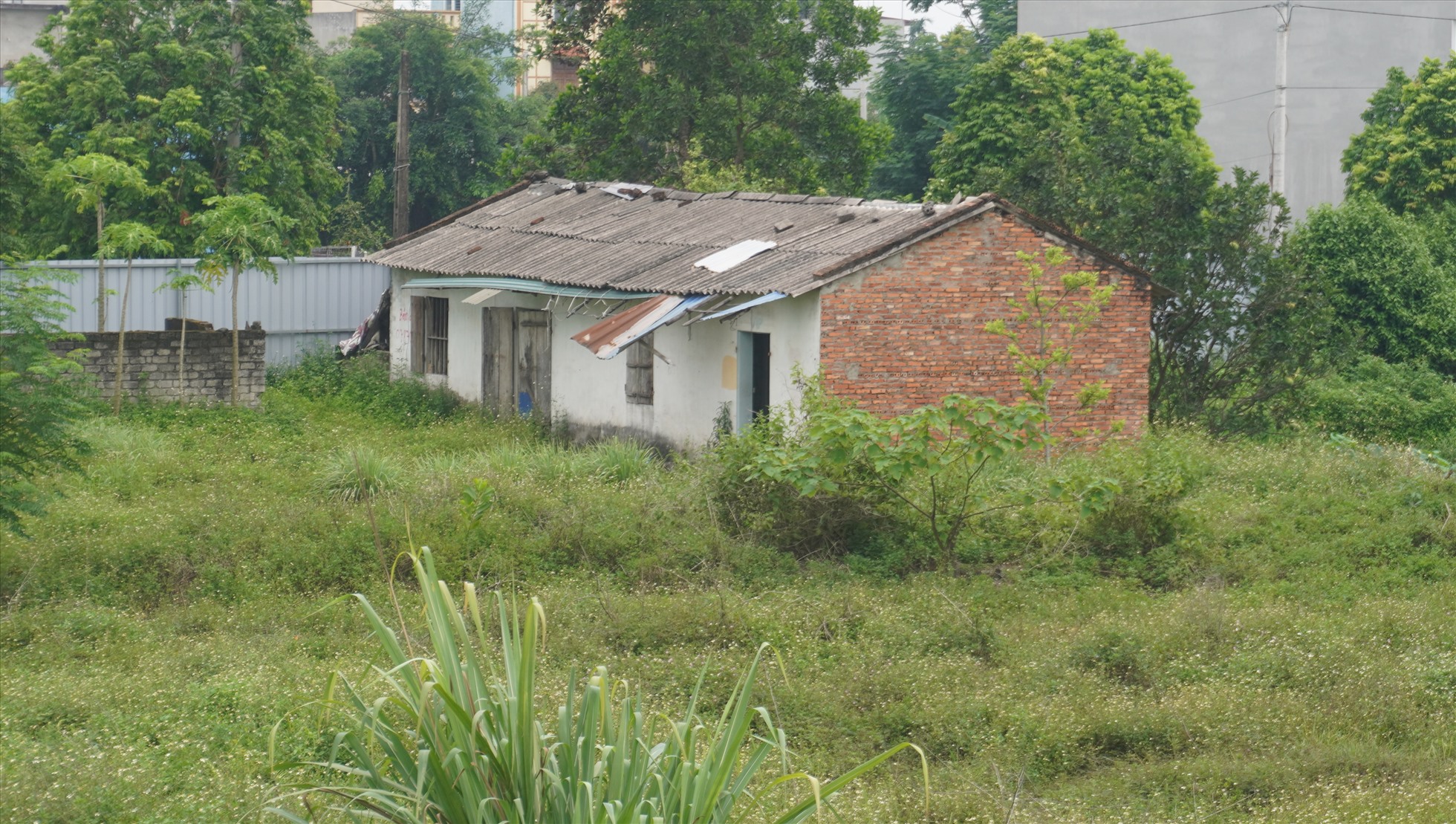 Thanh Hóa hiện có 6 dự án nhà ở xã hội chậm tiến độ, trong đó có dự án khu Nhà ở xã hội AMC I, phường Quảng Thành, thành phố Thanh Hóa.