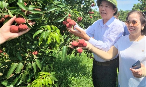 Ngành nông nghiệp Thanh Hóa bội thu trong 6 tháng đầu năm 