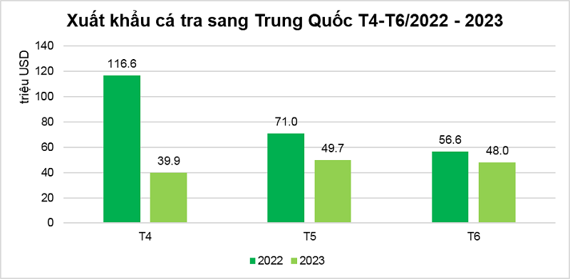 Gi&aacute; trị xuất khẩu c&aacute; tra sang thị trường Trung Quốc c&aacute;c th&aacute;ng trong năm 2022 &ndash; 2023. Nguồn: Vasep.