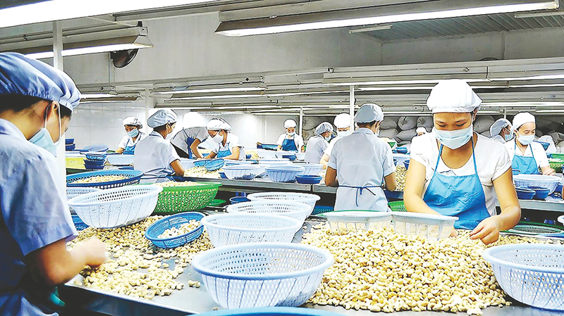 1H cashew nut exports at $1.6bln