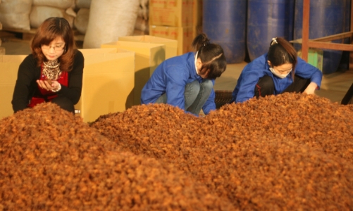 Tái diễn tình trạng lừa đảo xuất khẩu nông sản cho doanh nghiệp UAE, Bộ Công Thương khuyến cáo doanh nghiệp 