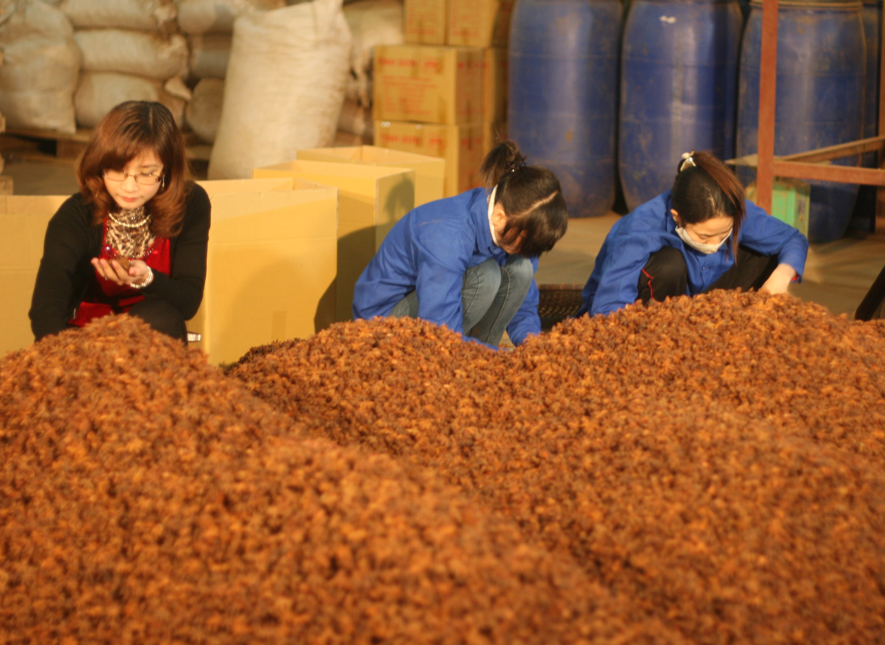 Xuất khẩu hoa hồi sang UAE cũng đang gặp rủi ro từ lừa đảo