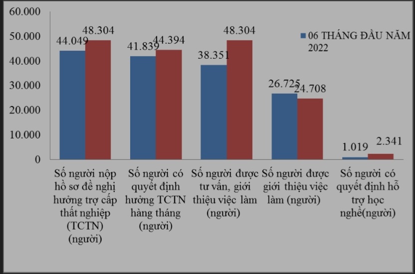Tình hình lao động hưởng trợ cấp thất nghiệp tỉnh Bình Dương 6 tháng đầu năm 2023. Nguồn - Trung tâm Dịch vụ việc làm tỉnh Bình Dương.