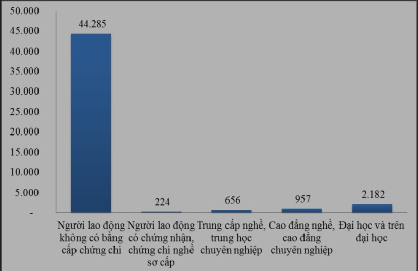 Tr&igrave;nh độ chuy&ecirc;n m&ocirc;n của người nộp hồ sơ hưởng trợ cấp thất nghiệp. Nguồn - Trung t&acirc;m Dịch vụ việc l&agrave;m tỉnh B&igrave;nh Dương.