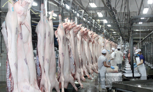 Ban hành Kế hoạch quốc gia về kiểm soát dịch bệnh vật nuôi, đảm bảo an toàn thực phẩm