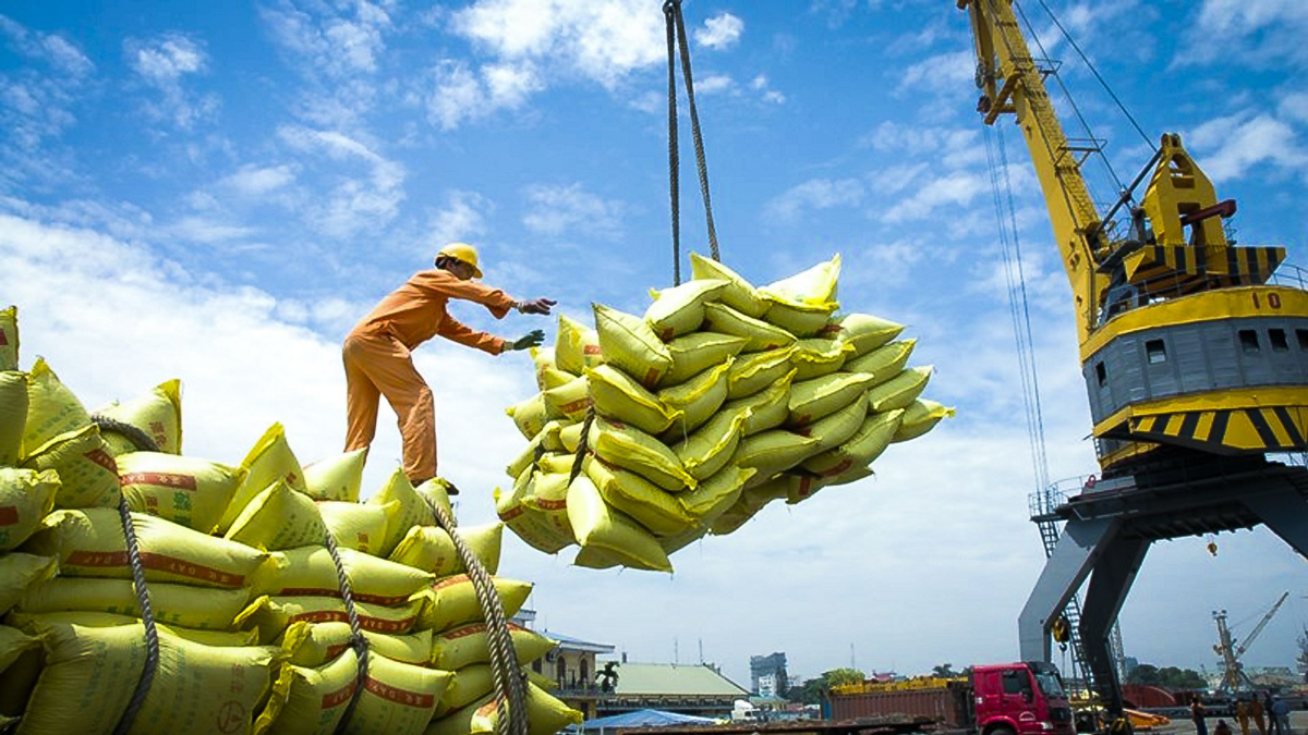 Xuất khẩu gạo đang trờ thành điểm sáng.