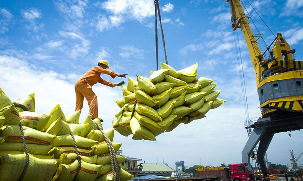 Xuất khẩu gạo đang trờ thành điểm sáng.