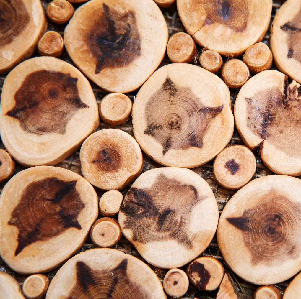 C&acirc;y đ&agrave;n hương c&oacute; ưu thế tận dụng được tất cả c&aacute;c bộ phận của c&acirc;y từ: l&otilde;i gỗ, rễ c&acirc;y, l&aacute; c&acirc;y, hạt v&agrave; r&aacute;c gỗ n&ecirc;n mang lại gi&aacute; trị kinh tế cao.