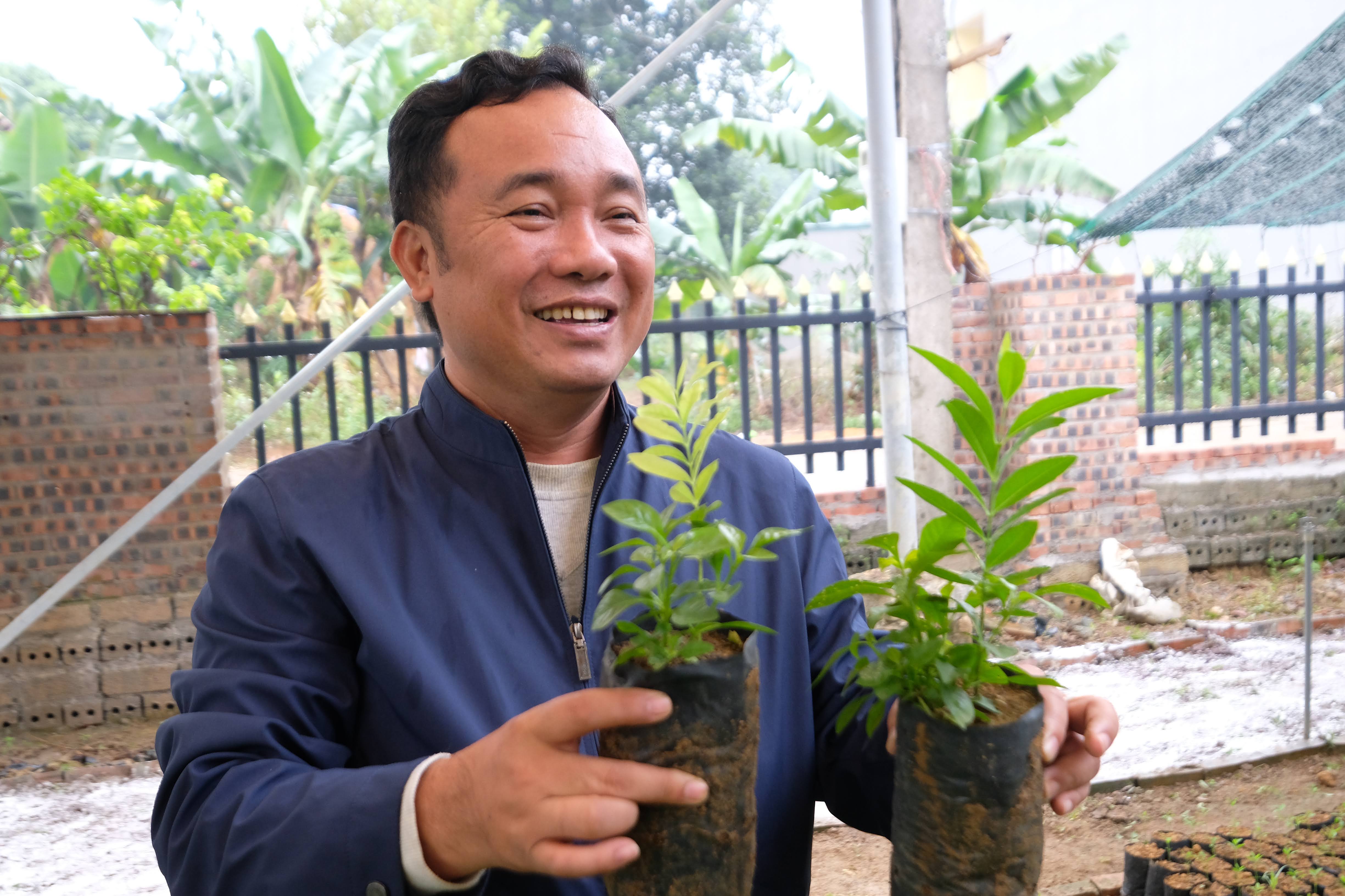 Tiến sĩ Vũ Văn Thoại: Không giống như những loại cây trồng khác, cây đàn hương đòi hỏi khắt khe về mật độ trồng, cây ký chủ, đặc biệt là chất lượng và nguồn gốc giống cây giống. 