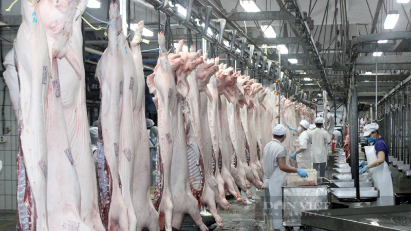 Vietnam to build farms of international standard