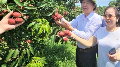 Thanh Hoa posts positive agriculture growth in 1H