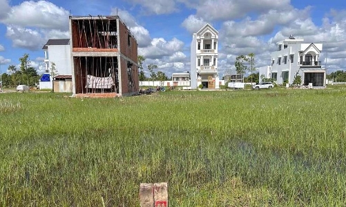 Thu hồi hơn 543 ha đất tại dự án khu liên hợp công nông nghiệp Dofico Đồng Nai