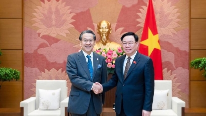 Vietnam & Japan boast potential in biomass power development