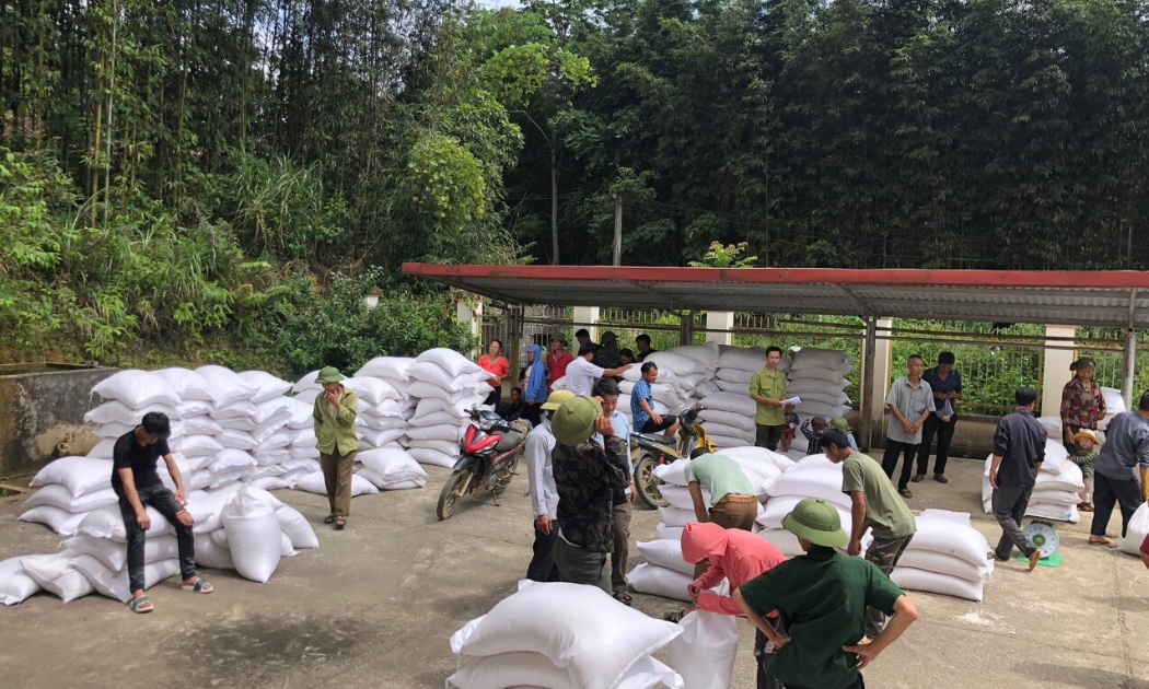 Công tác nhập, xuất hàng dự trữ quốc gia được ngành dự trữ nhà nước đẩy mạnh triển khai và đạt nhiều kết quả tích cực.