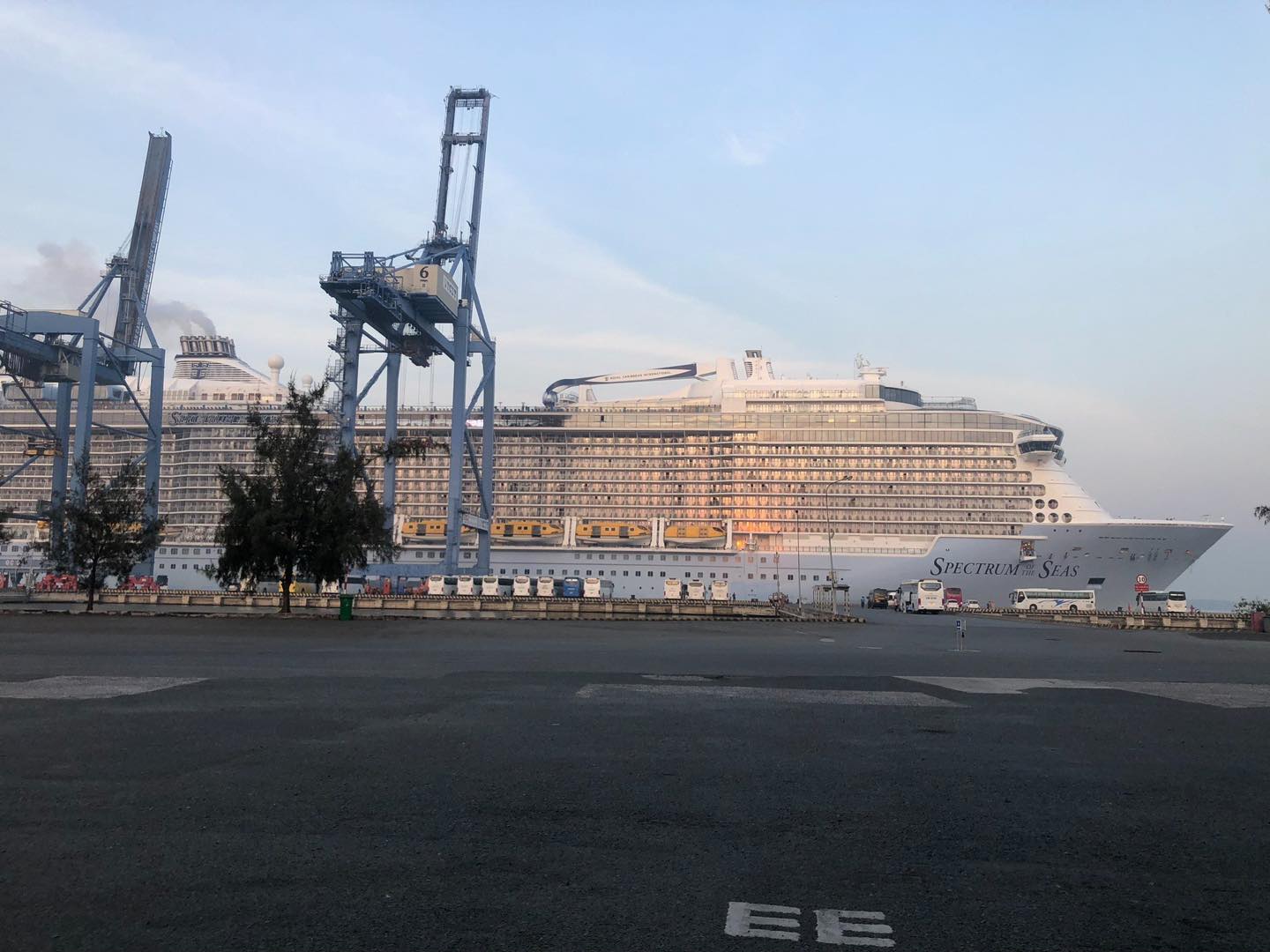 Tàu Spectrum of the Seas đi theo hành trình từ Singapore - Nha Trang mang mang theo 3.000 du khách quốc tịch Anh, Mỹ, Úc…