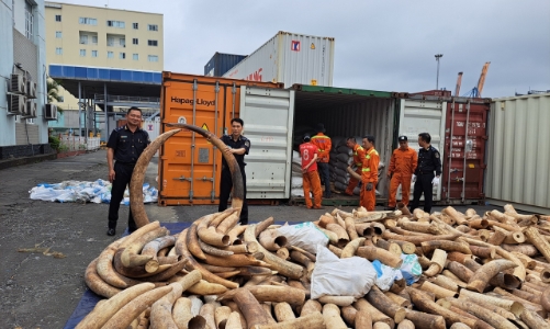 Buôn lậu hàng giả, hàng cấm trên khu vực biên giới biển, cửa khẩu cảng Hải Phòng diễn ra phức tạp