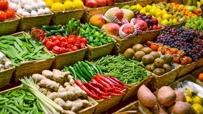 7M agro, forestry, and fisheries exports hit $29.13bln