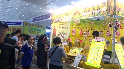 International East-West Economic Corridor trade fair opens in Da Nang