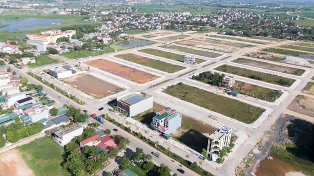 Ảnh minh họa