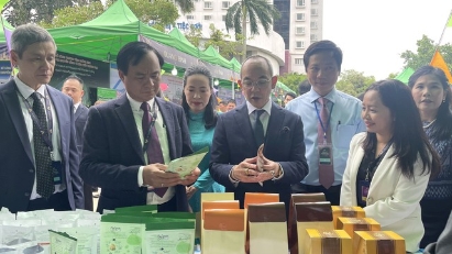 Quang Tri hopes to attract Thai investors in fields of strength