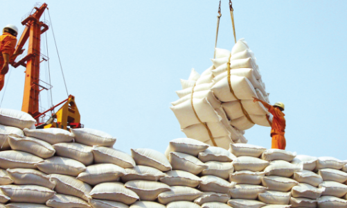 Cả thế giới “sốt hừng hực” vì thiếu gạo và “hành động” của Việt Nam