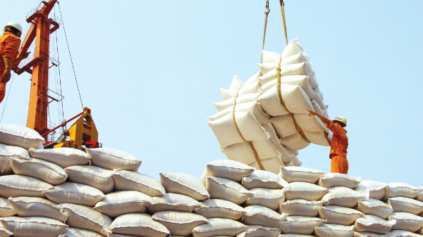 Cả thế giới “sốt hừng hực” vì thiếu gạo và “hành động” của Việt Nam