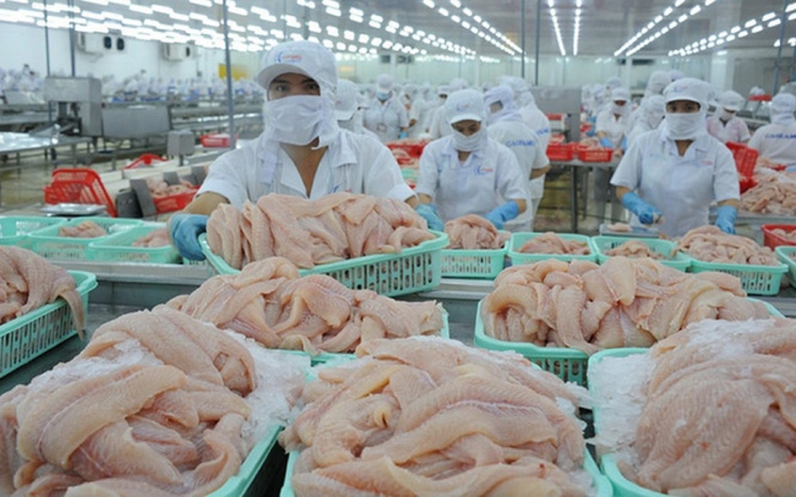 Xuất khẩu thủy sản trông chờ vào những tháng cuối năm.