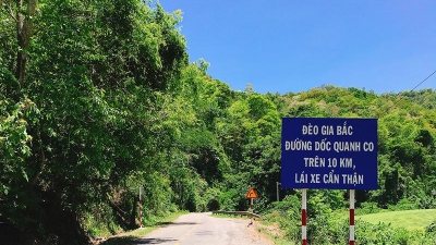 $60mln to be invested in upgrading Binh Thuan - Lam Dong highway link