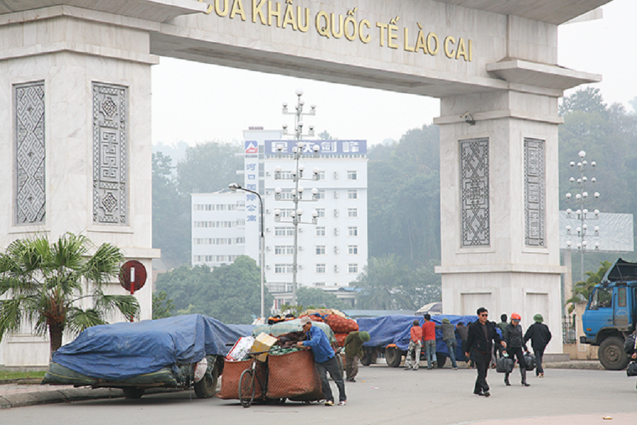 Trong 6 tháng đầu năm 2023, xuất khẩu nông, lâm, thủy sản sang Trung Quốc đem về 5,2 tỷ USD, tăng 7,7 tỷ USD so với cùng kỳ năm trước.