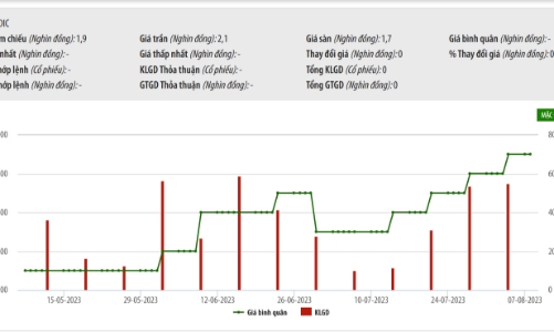 Thua lỗ triền miên, DIG đăng ký thoái hết hơn 15% vốn tại DIC