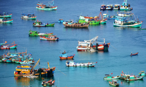 Việt Nam và Indonesia hợp tác thúc đẩy nghề cá biển, chống đánh bắt bất hợp pháp