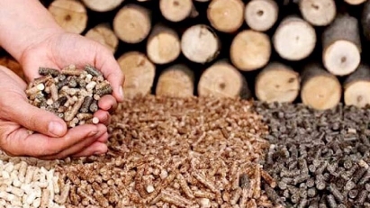 Space remains for wood pellet exports to grow