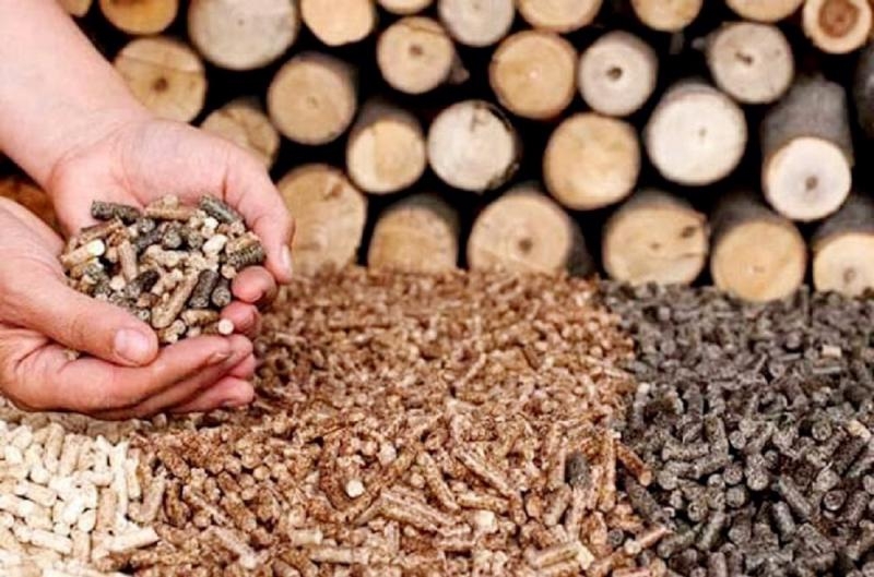 Space remains for wood pellet exports to grow