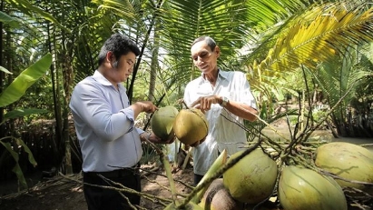 Coconuts gain access to US market