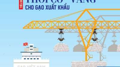 Tạp chí Kinh tế Việt Nam số 33-2023
