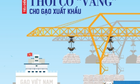 Tạp chí Kinh tế Việt Nam số 33-2023.